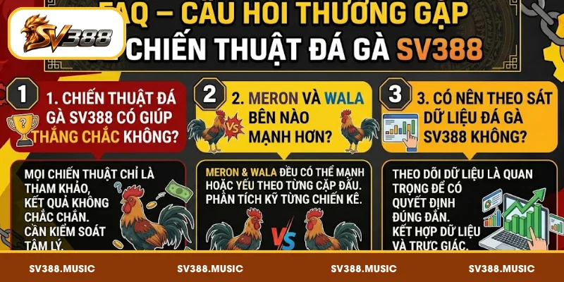 FAQ – Câu hỏi thường gặp về chiến thuật đá gà SV388