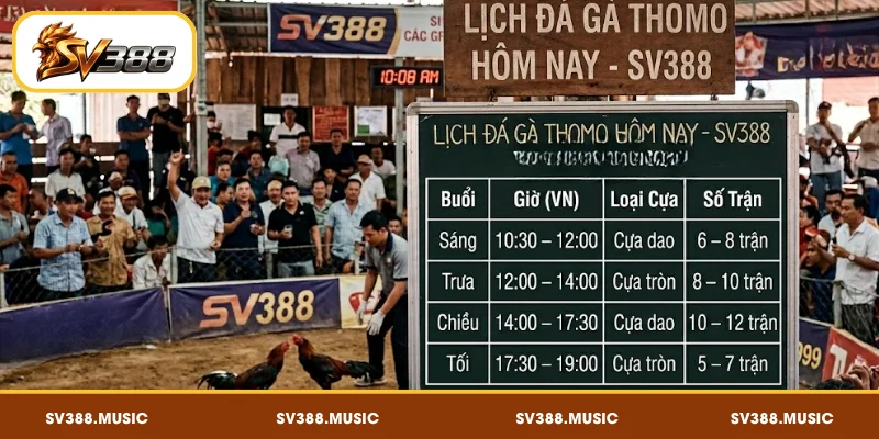Lịch đá gà Thomo hôm nay SV388 chi tiết