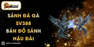 Sảnh Đá Gà SV388 – Bản Đồ Sảnh Hậu Đài