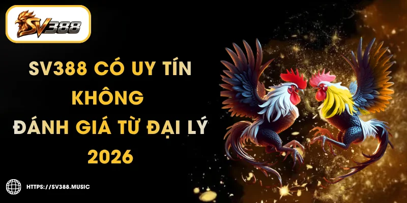 SV388 Có Uy Tín Không – Đánh Giá Từ Đại Lý 2026